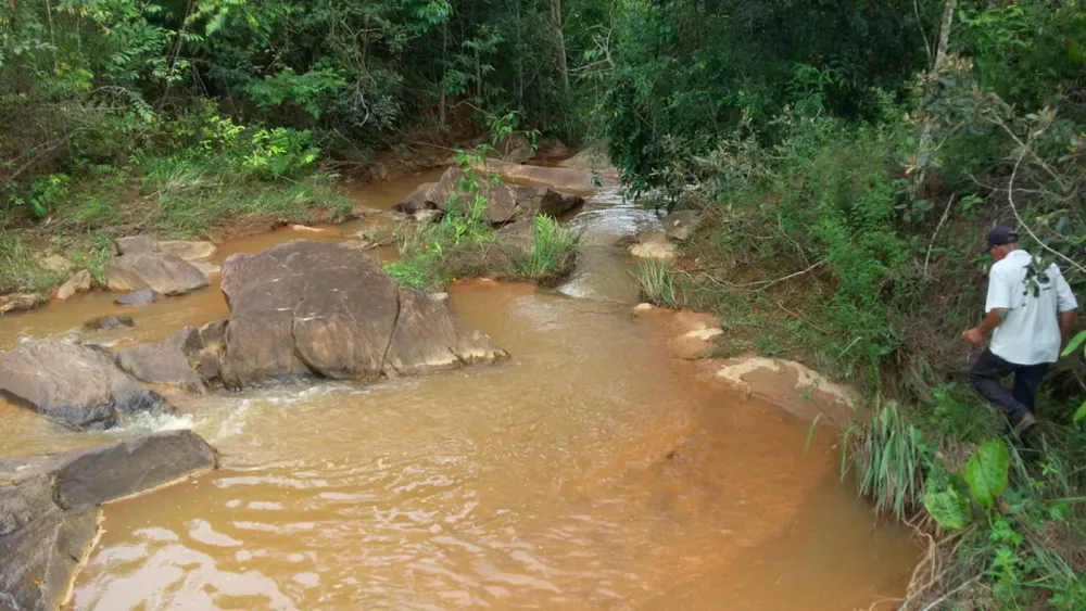 Fazenda, 52 hectares - Foto 7