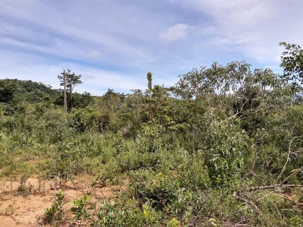 Terreno, 103100 m² - Foto 6