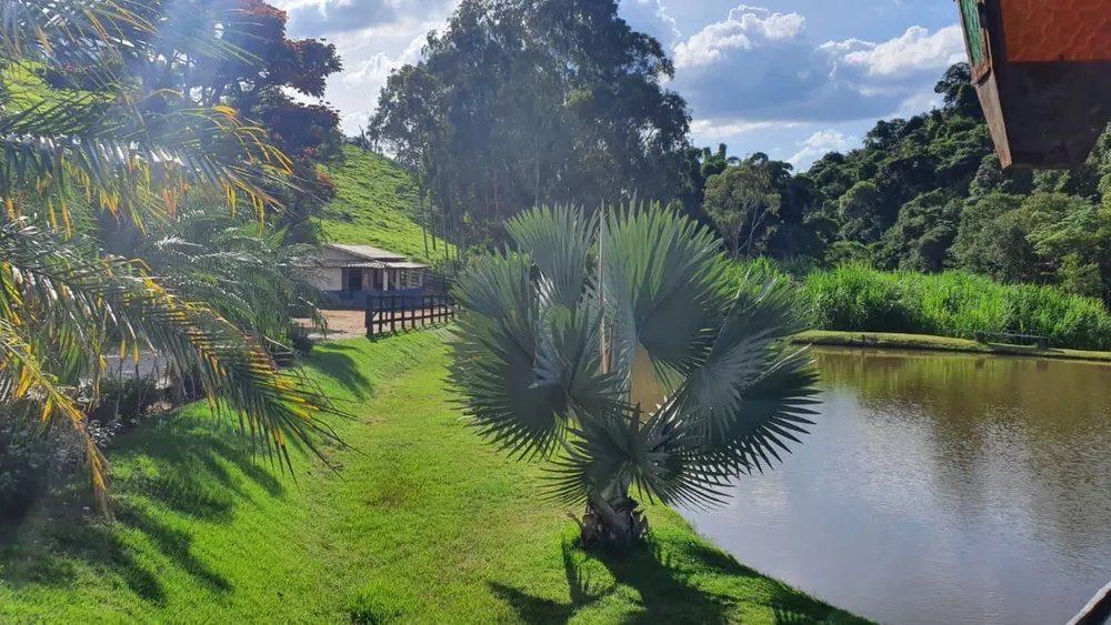 Fazenda, 3 quartos - Foto 3
