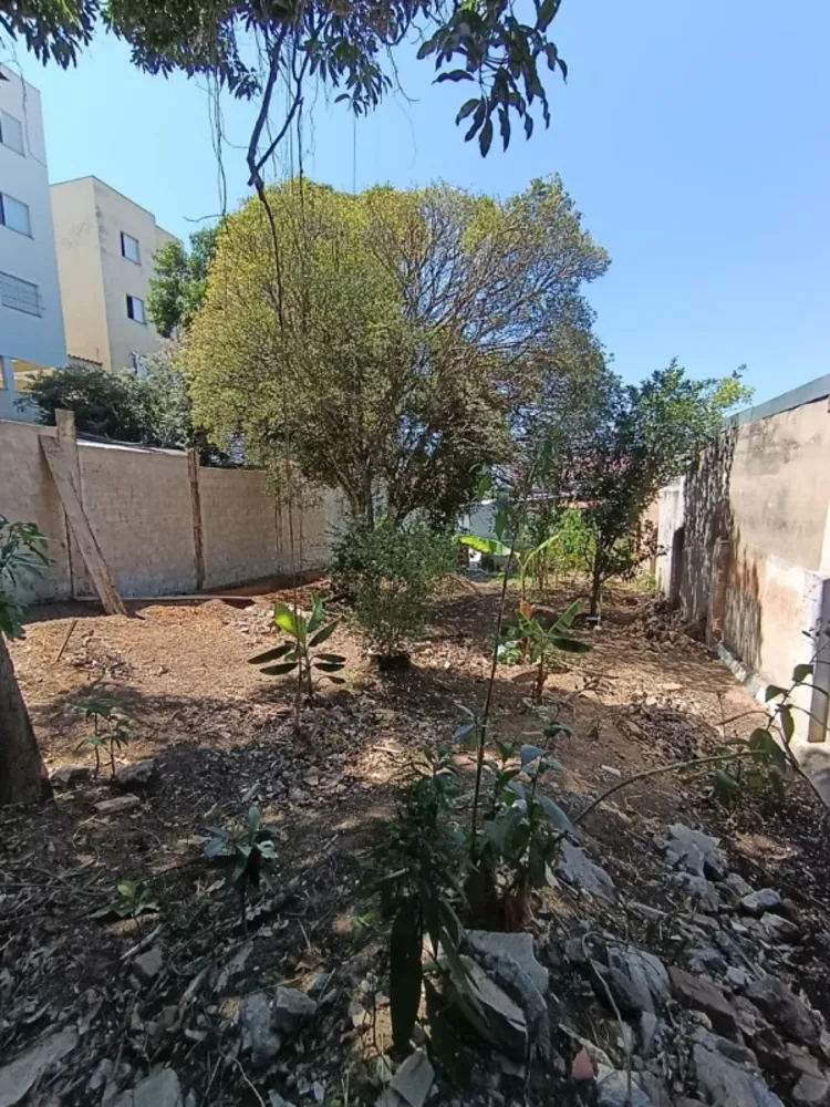Casa, 2 quartos, 510 m² - Foto 3