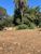 Terreno, 1150 m² - Foto 4
