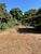 Terreno, 1150 m² - Foto 5