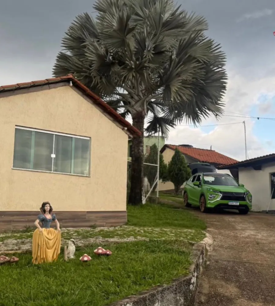 Chácara, 3 quartos, 3000 m² - Foto 3