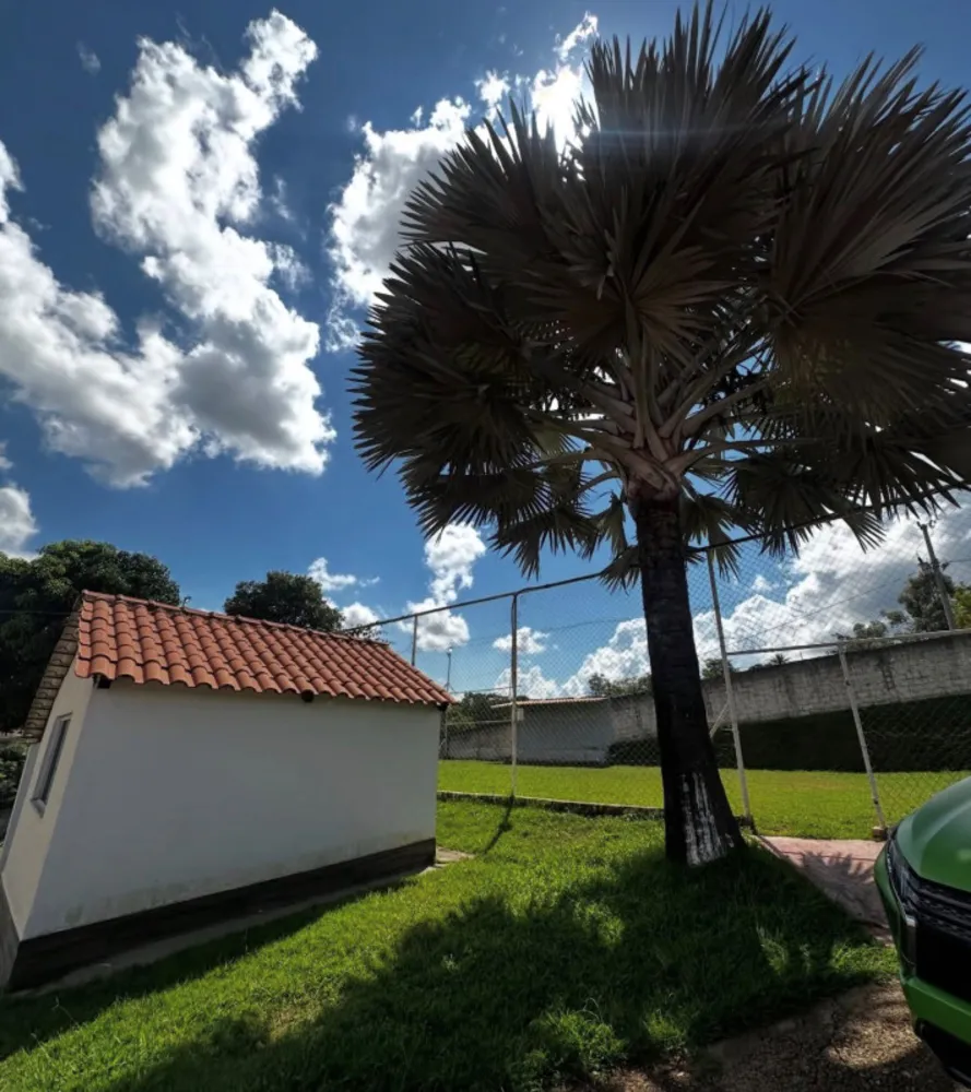 Chácara, 3 quartos, 3000 m² - Foto 2