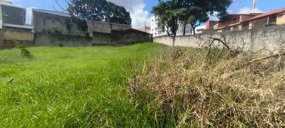 Terreno, 1335 m² - Foto 8