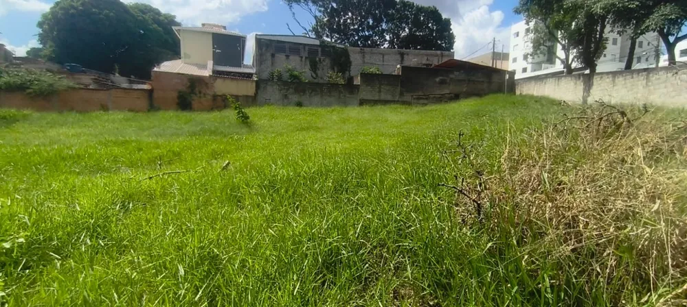 Terreno, 1335 m² - Foto 7