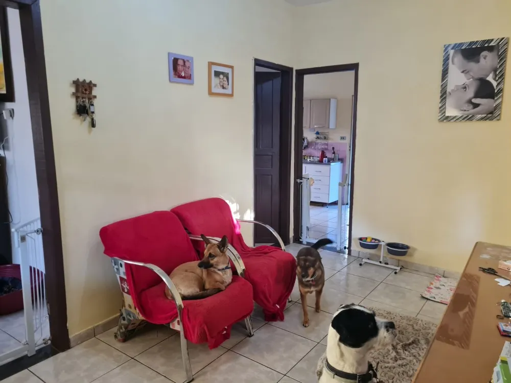 Casa, 3 quartos, 492 m² - Foto 5