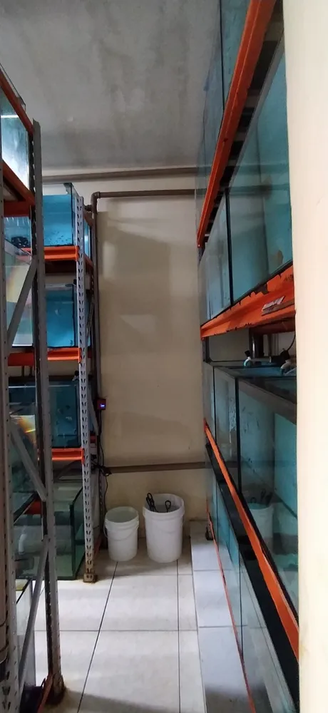 Casa, 3 quartos, 360 m² - Foto 1