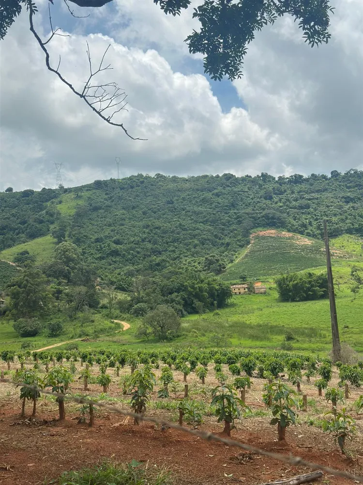 Fazenda, 2 quartos - Foto 5