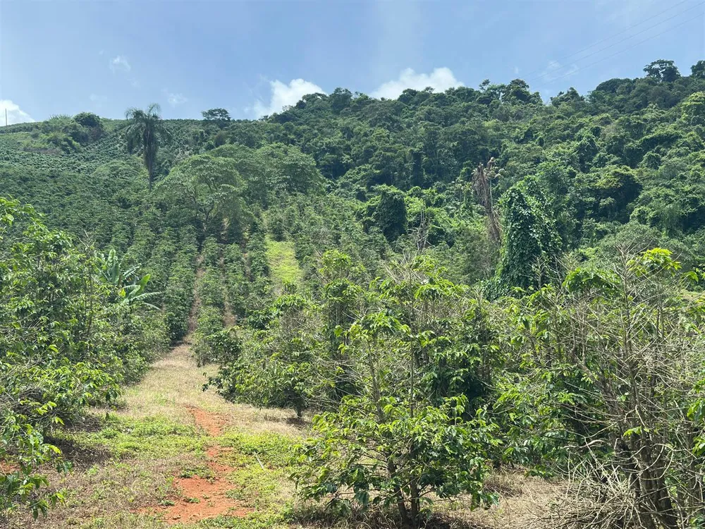 Fazenda, 2 quartos - Foto 9