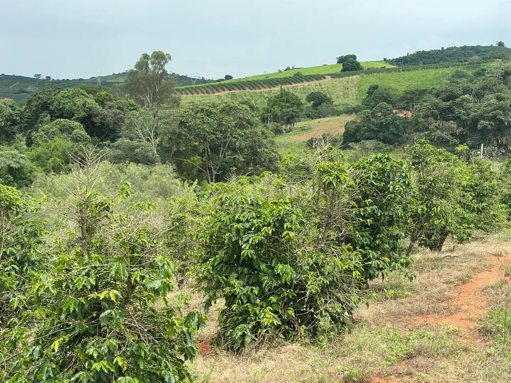 Fazenda, 2 quartos - Foto 10