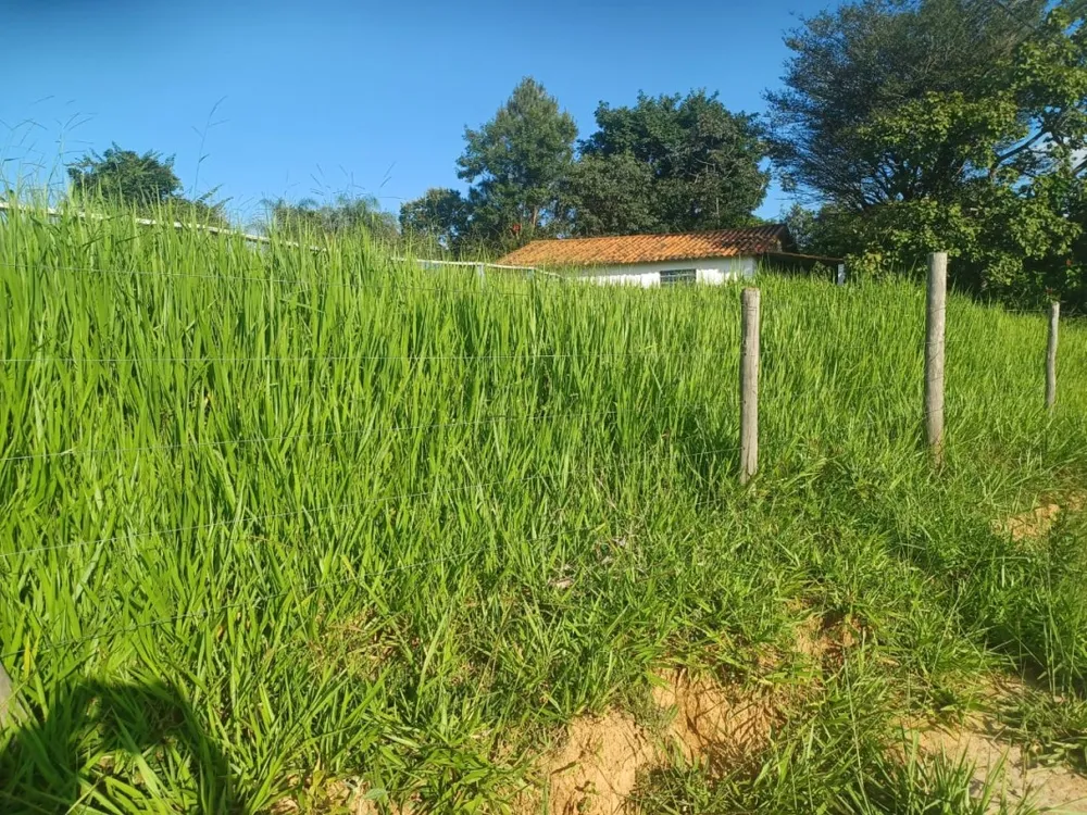 Fazenda, 4 quartos - Foto 4