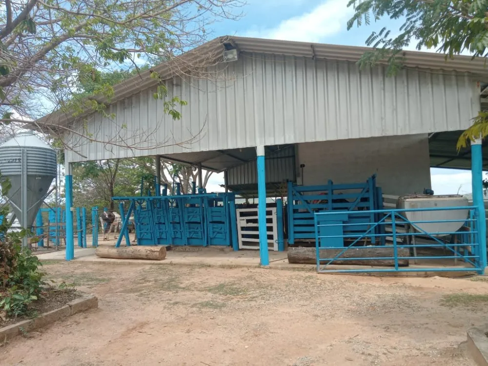 Fazenda, 4 quartos - Foto 12