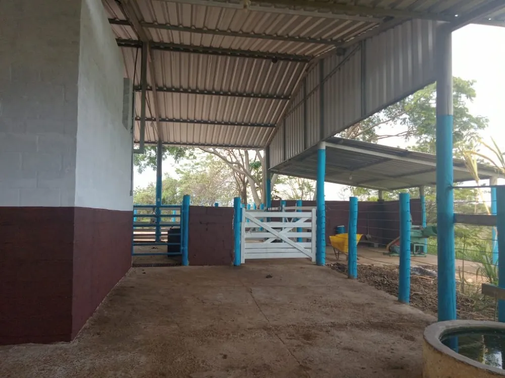 Fazenda, 4 quartos - Foto 11