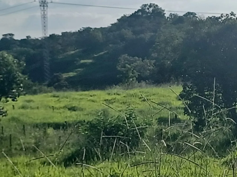 Fazenda, 4 quartos - Foto 2