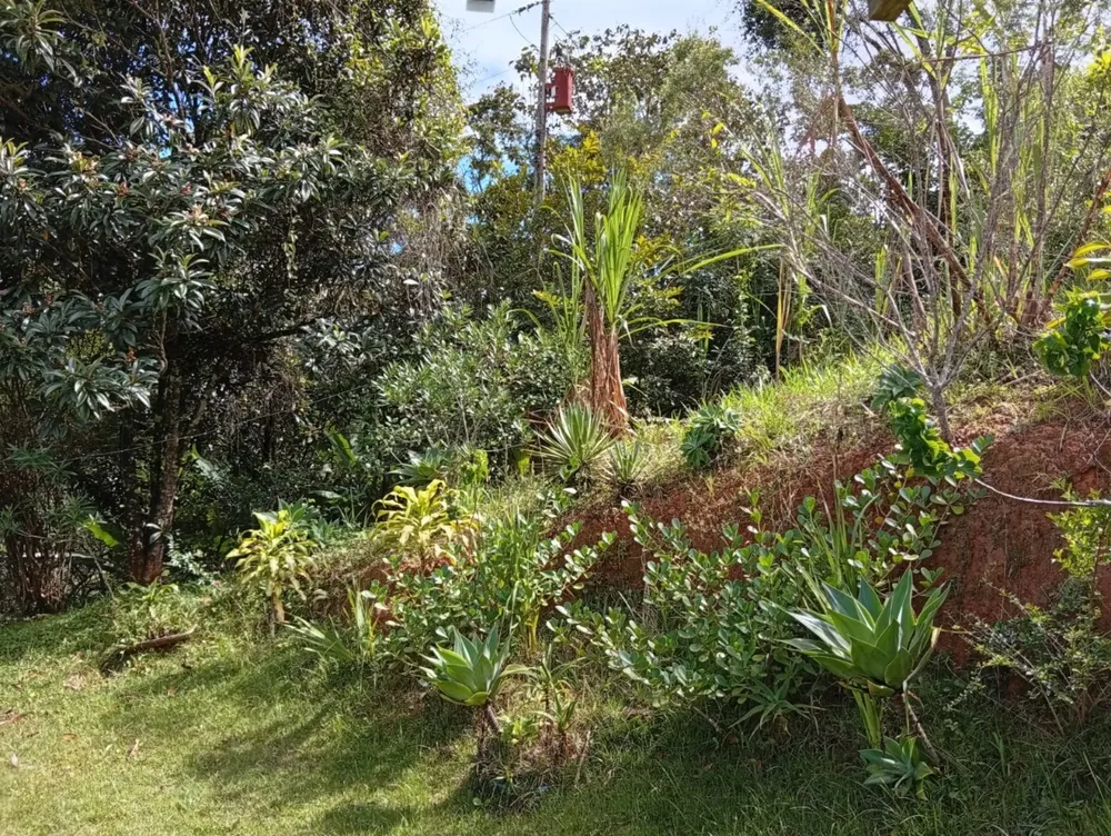 Chácara, 3 quartos, 9 hectares - Foto 4
