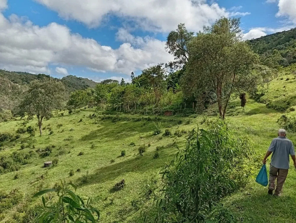 Chácara, 3 quartos, 9 hectares - Foto 11