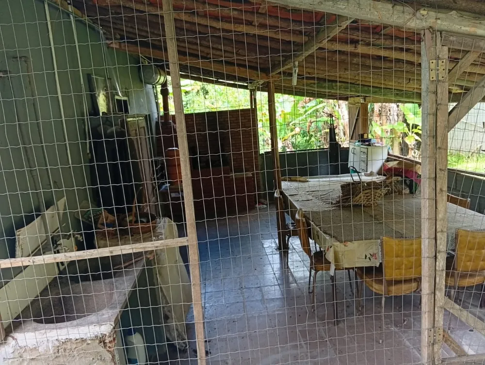 Fazenda, 9 hectares - Foto 13
