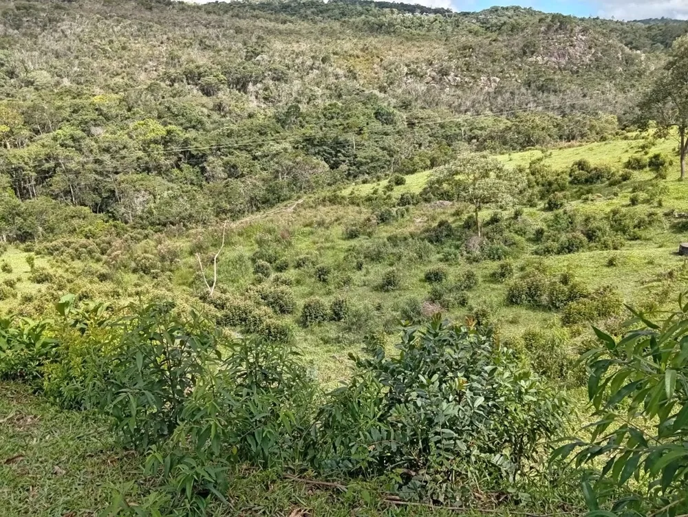 Fazenda, 9 hectares - Foto 10