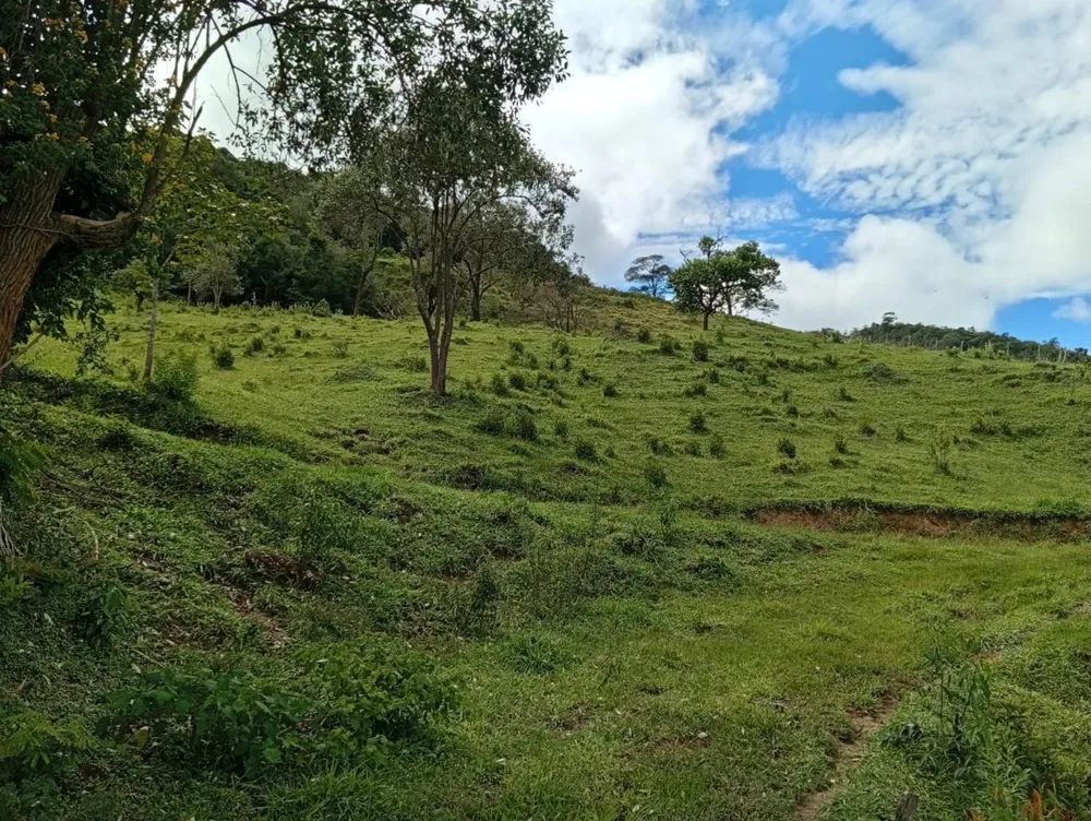 Fazenda, 9 hectares - Foto 8