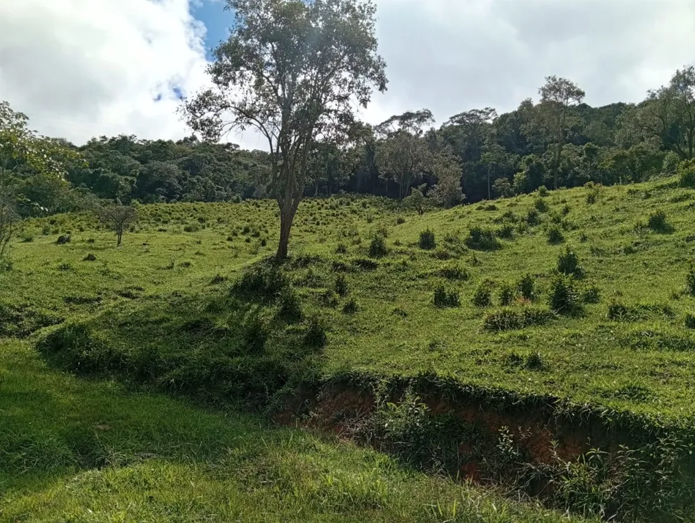 Fazenda, 9 hectares - Foto 12