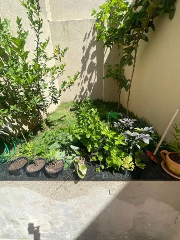 Apartamento, 3 quartos, 65 m² - Foto 3