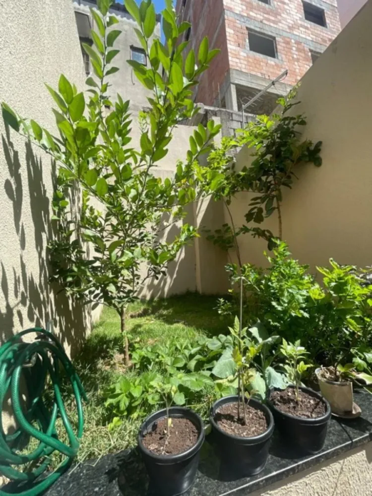 Apartamento, 3 quartos, 65 m² - Foto 7