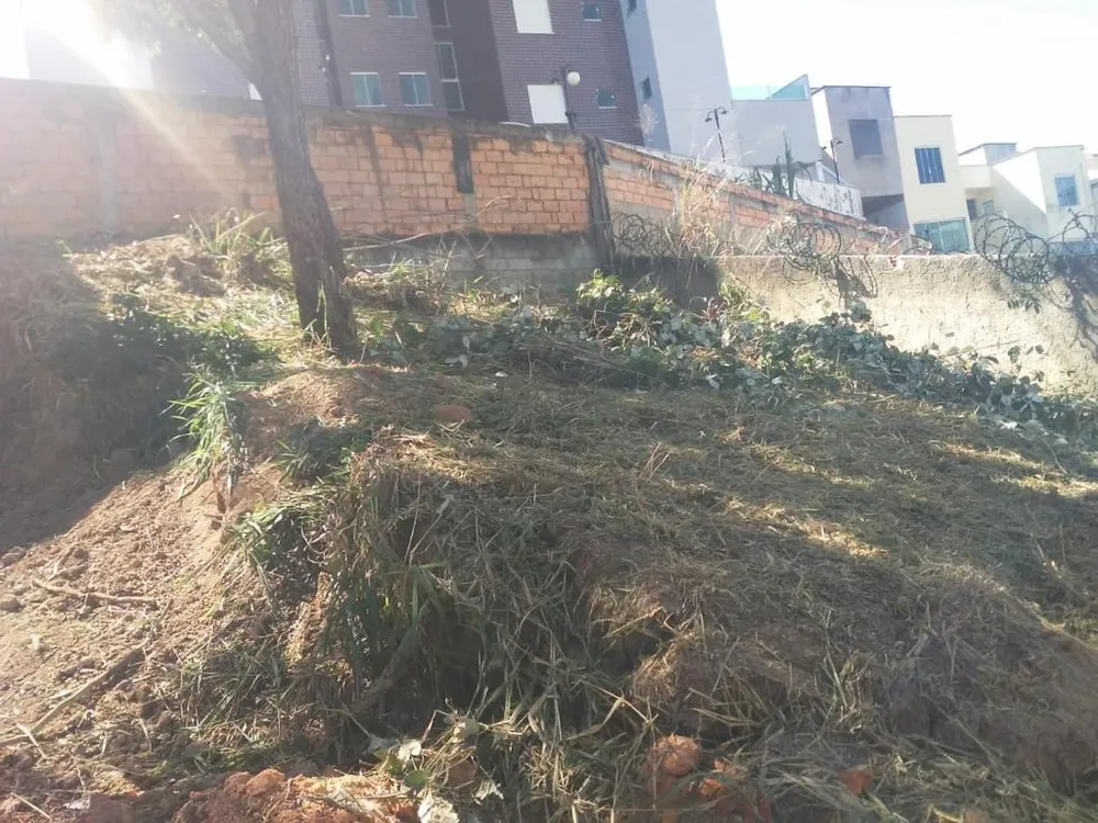 Terreno, 360 m² - Foto 4