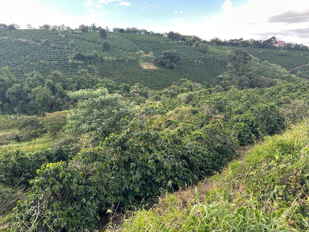 Fazenda à venda com 1 quarto - Foto 5