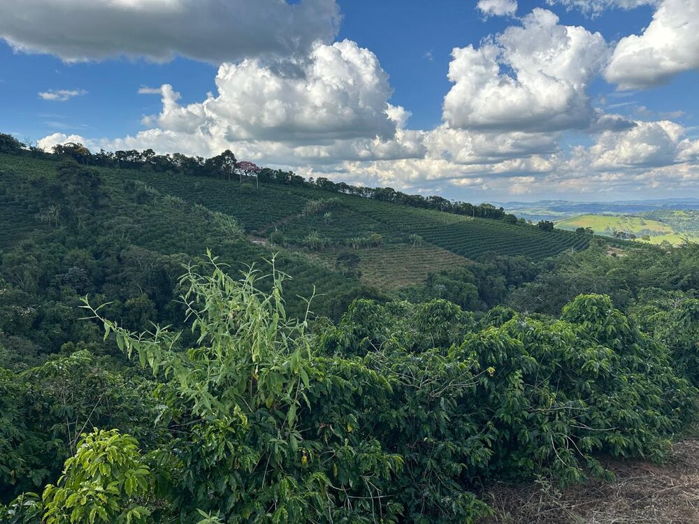 Fazenda à venda com 1 quarto - Foto 3