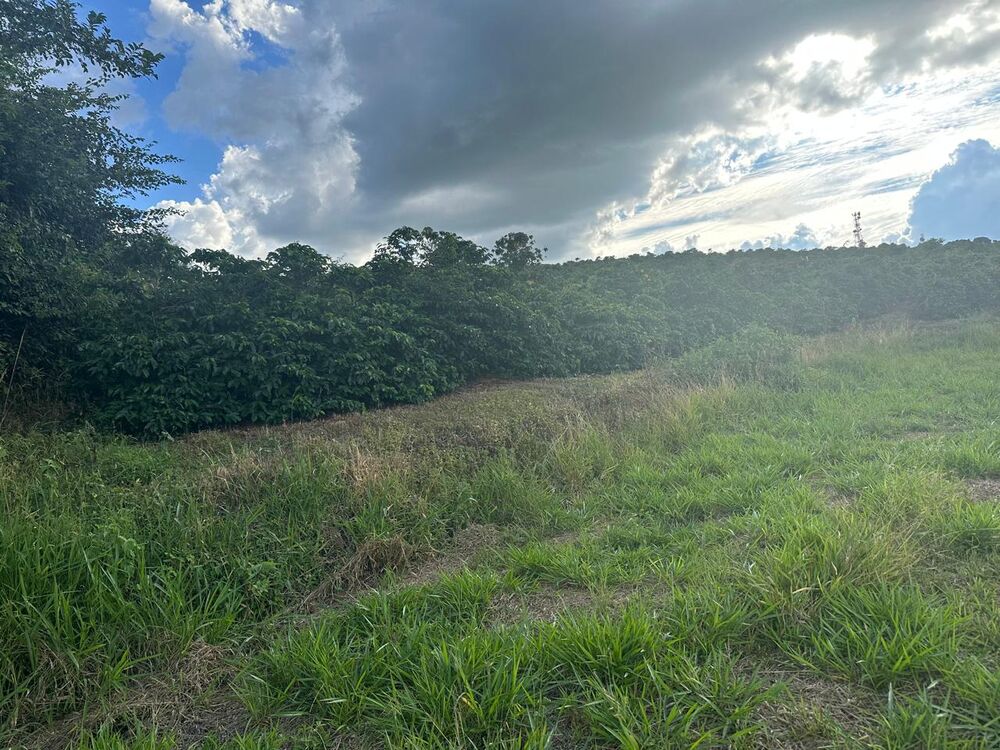Fazenda à venda com 1 quarto - Foto 10