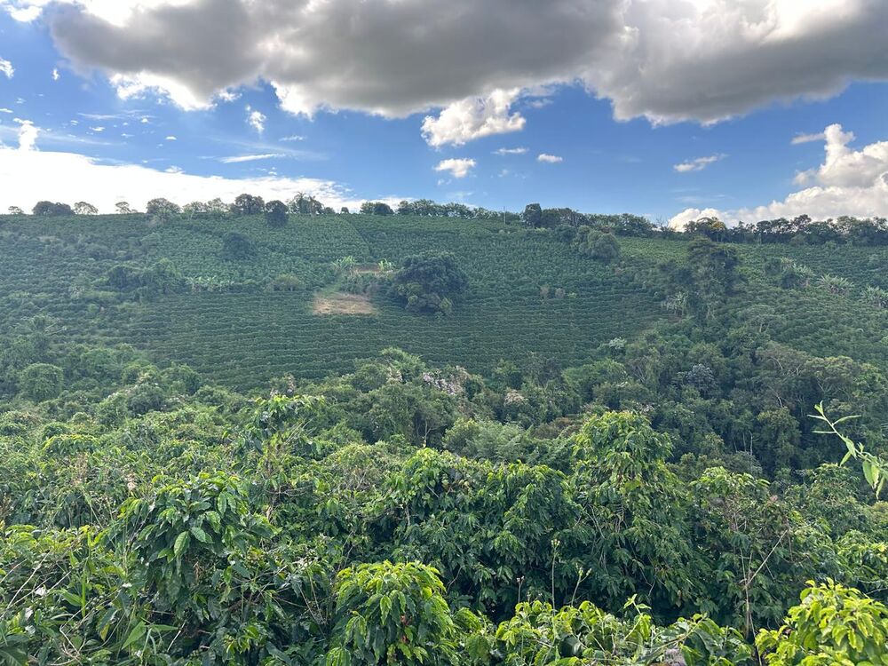 Fazenda à venda com 1 quarto - Foto 1