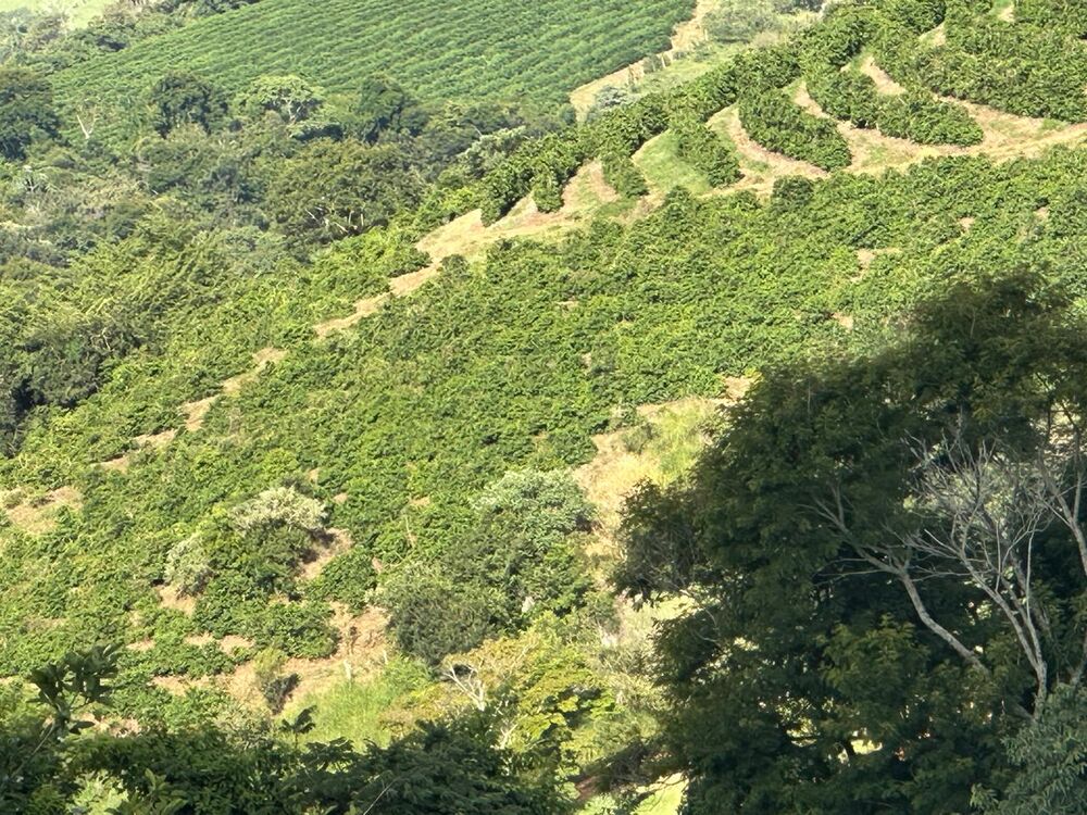 Fazenda à venda com 1 quarto - Foto 2
