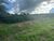 Fazenda, 1 quarto - Foto 10