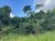 Fazenda, 1 quarto - Foto 7