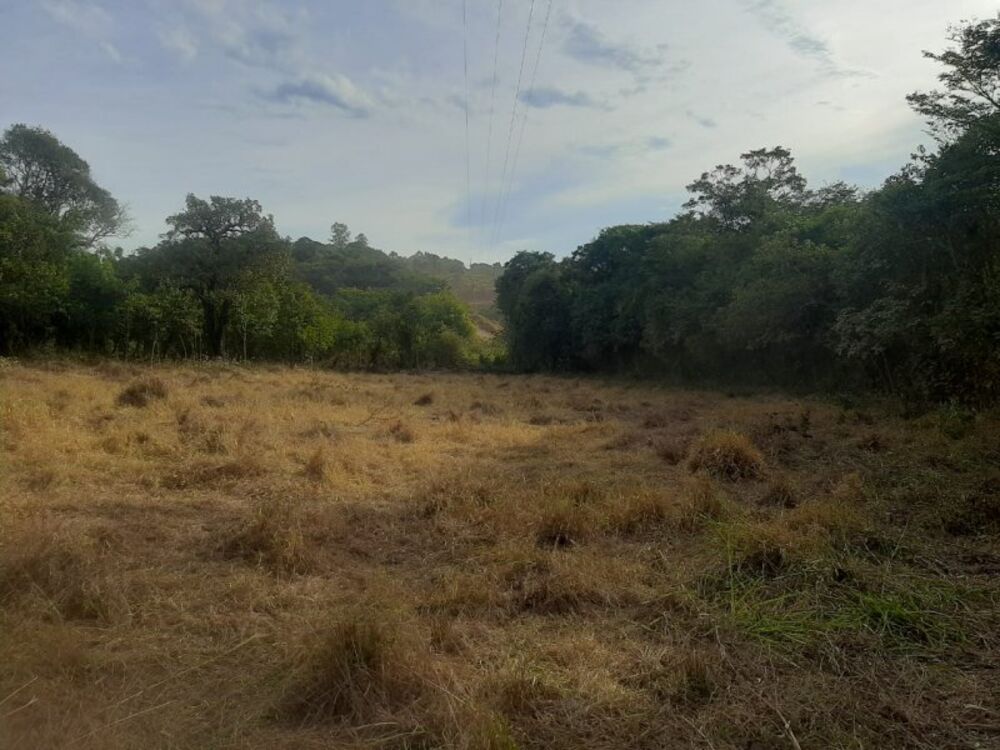Terreno à venda, 10000m² - Foto 5