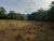 Terreno, 10000 m² - Foto 5