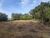 Terreno, 10000 m² - Foto 2