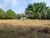 Terreno, 10000 m² - Foto 3