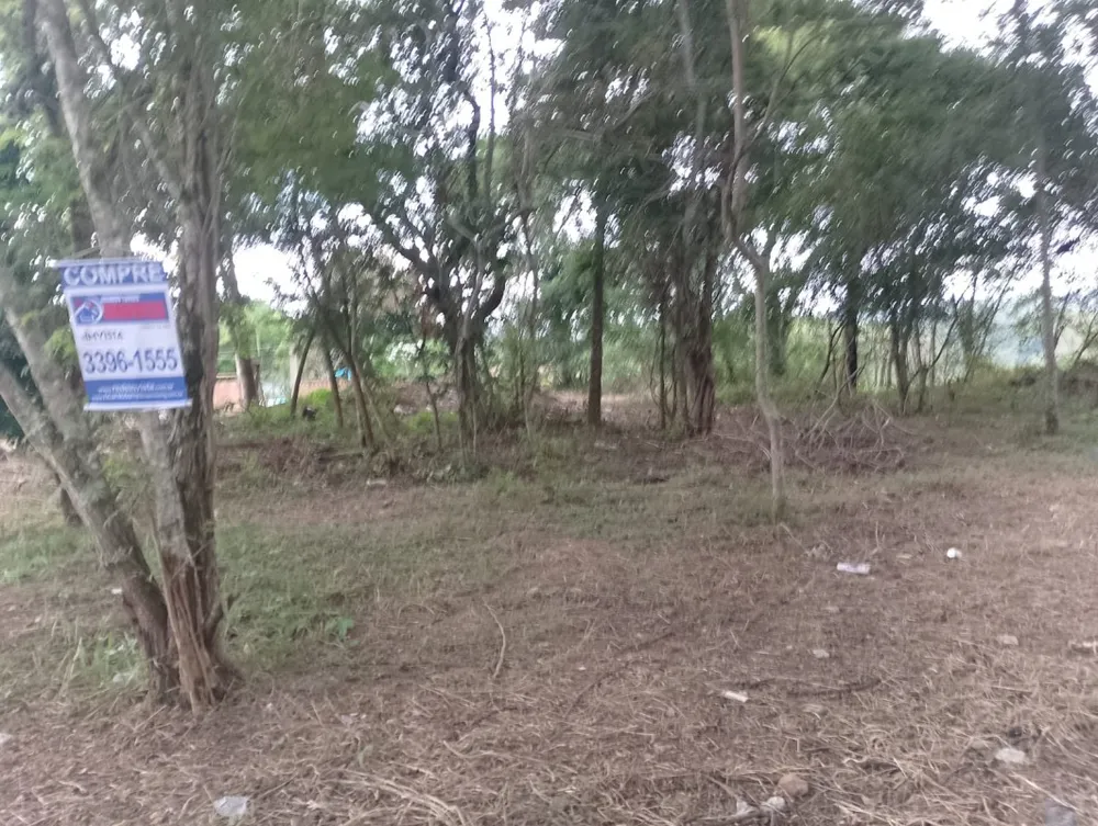 Terreno, 2500 m² - Foto 2