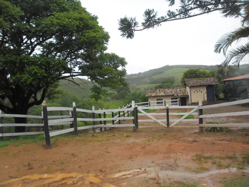 Fazenda, 10 hectares - Foto 7