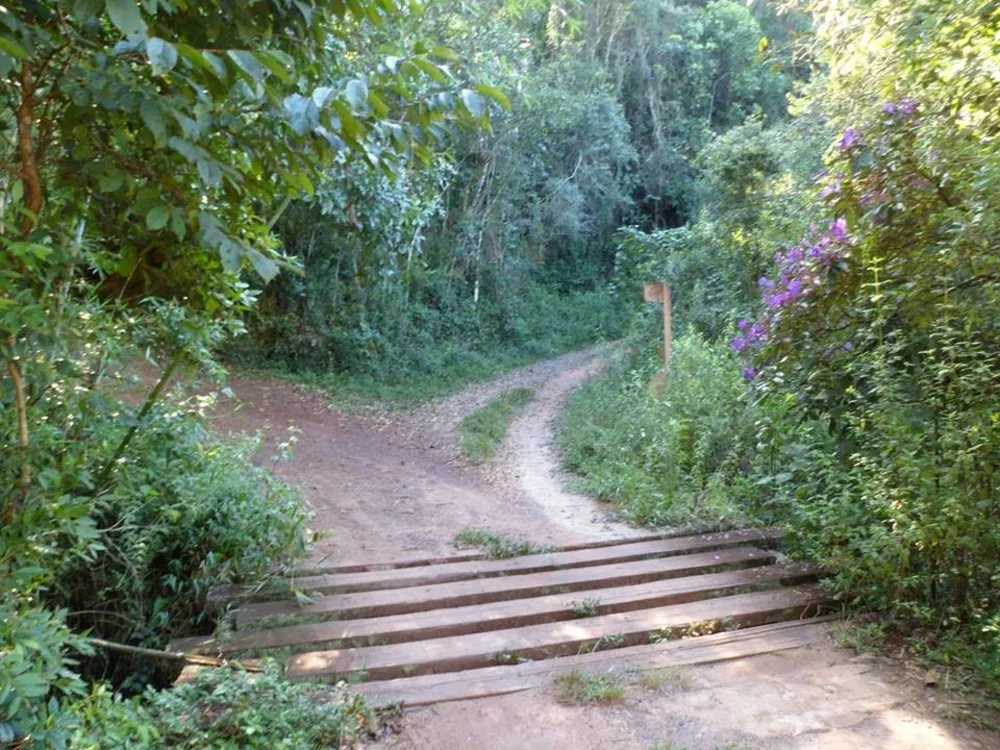Fazenda, 10 hectares - Foto 10