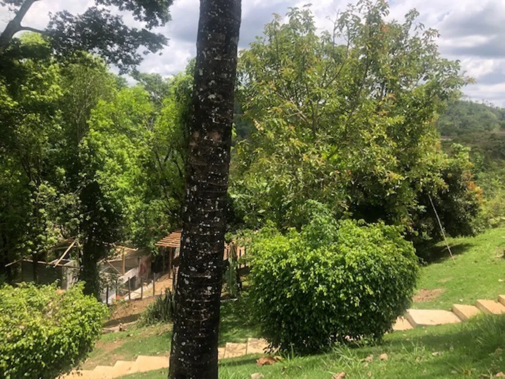 Chácara, 1 quarto, 2800 m² - Foto 6