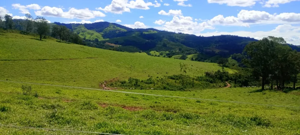 Fazenda, 169 hectares - Foto 3