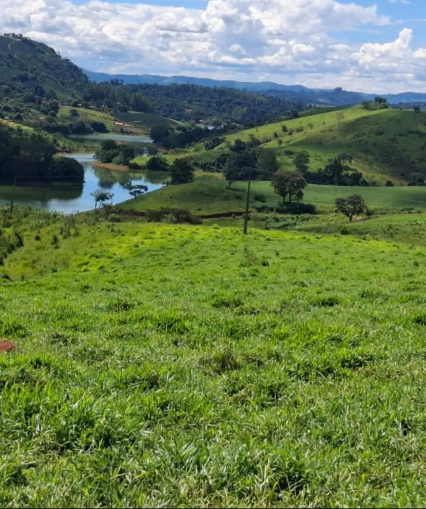 Fazenda, 169 hectares - Foto 1