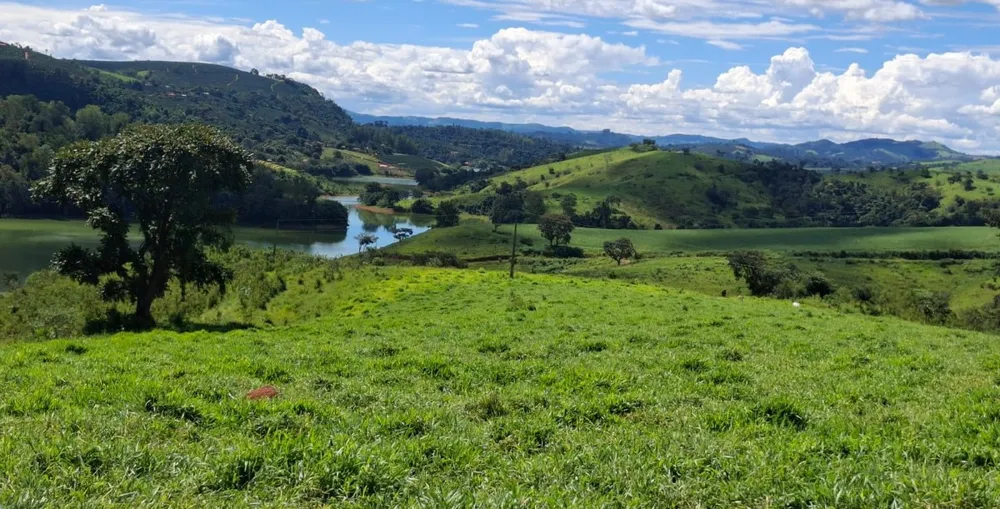 Fazenda, 169 hectares - Foto 9