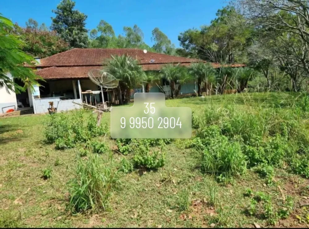 Fazenda, 169 hectares - Foto 9