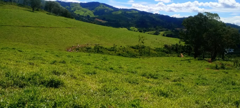 Fazenda, 169 hectares - Foto 12