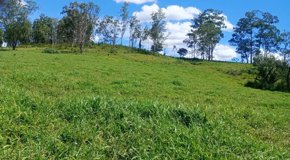 Fazenda, 169 hectares - Foto 6