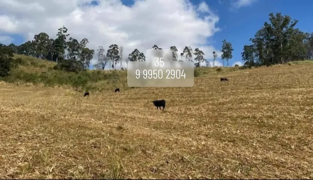 Fazenda, 169 hectares - Foto 7